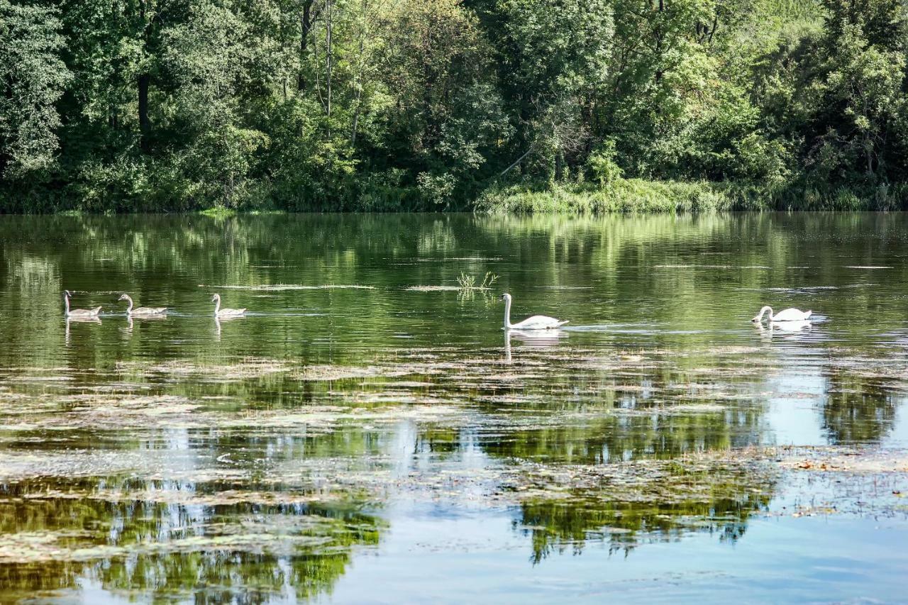 Domek Nad Sanem Zagorz Εξωτερικό φωτογραφία